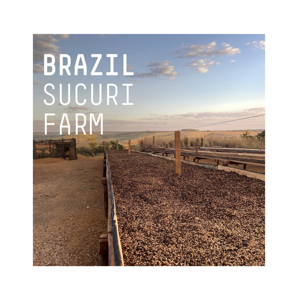 Brazil, Sucuri Farm  Single Origin Espresso