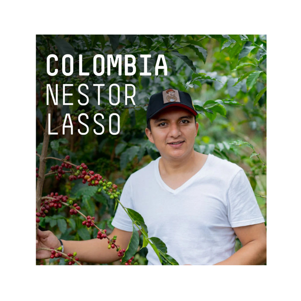 Colombia, Nelson Lasso Single Origin Espresso