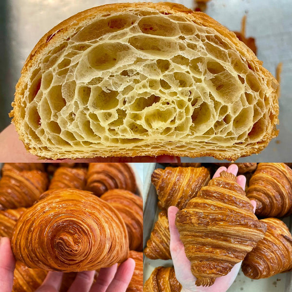 經典法式 原味可頌 Fresh Baked Plain Croissant