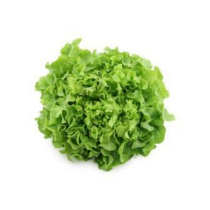 Fancy Lettuce Chem Free each