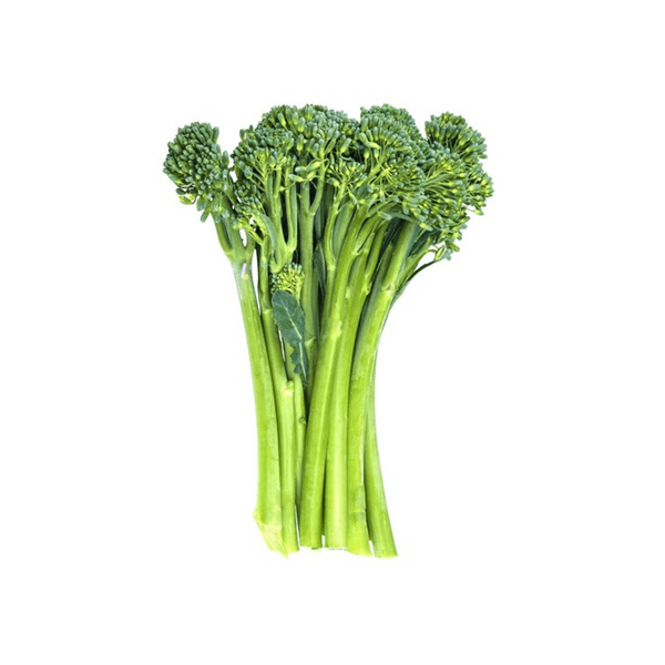 青花椰菜苗（西蘭花苗） Broccolini Chem Free bunch