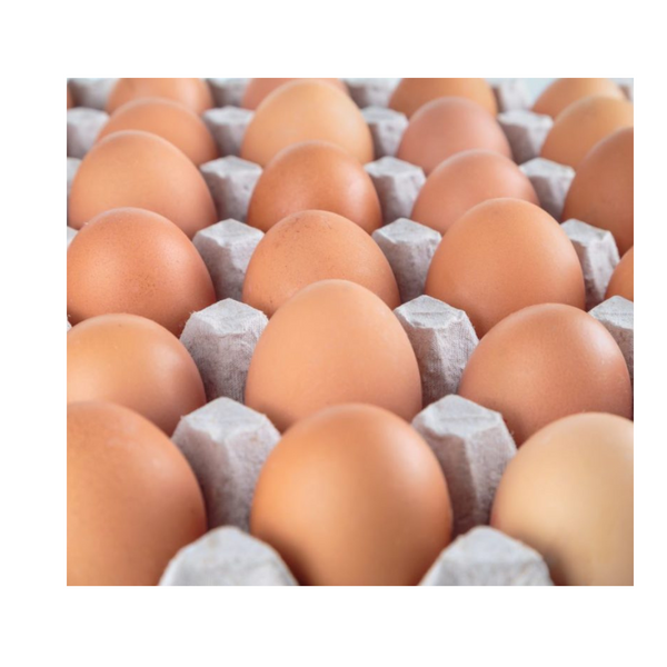 Pastured Fresh Eggs Dozen