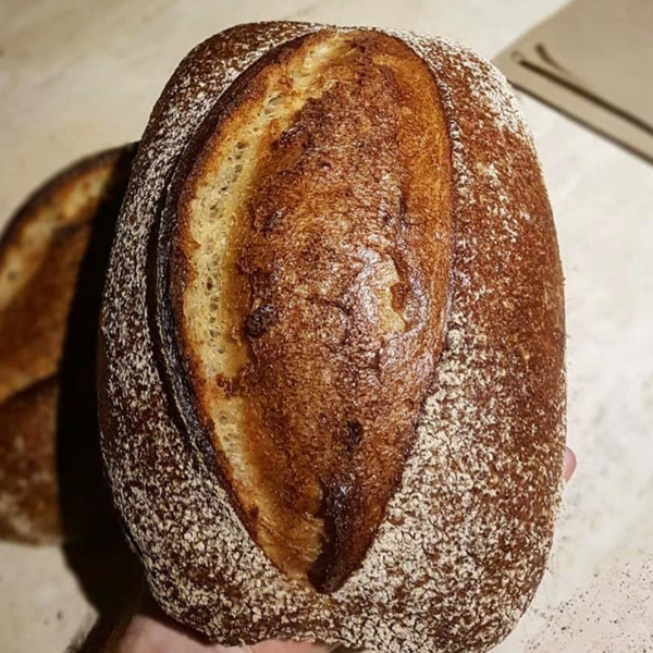 天然酵種 農村麵包 Rustic Sourdough Bread